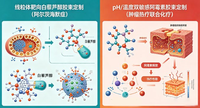 基于载药量与缓释性能调控的纳米胶束定制化构建
