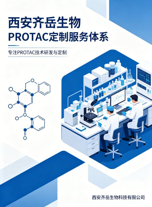 PROTAC定制|靶向蛋白降解分子设计方案