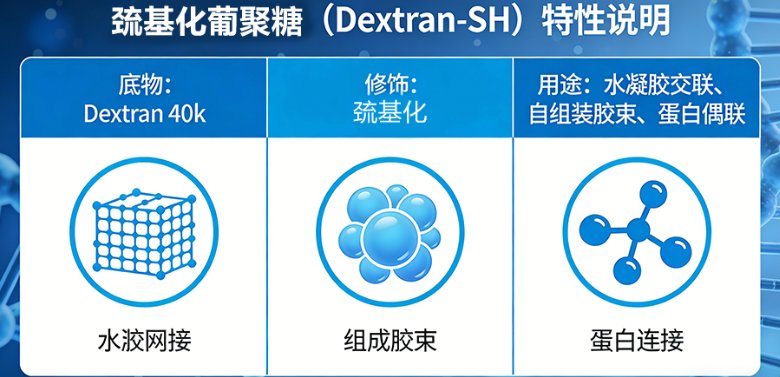 几十种多糖改性定制服务（修饰・偶联・功能化）