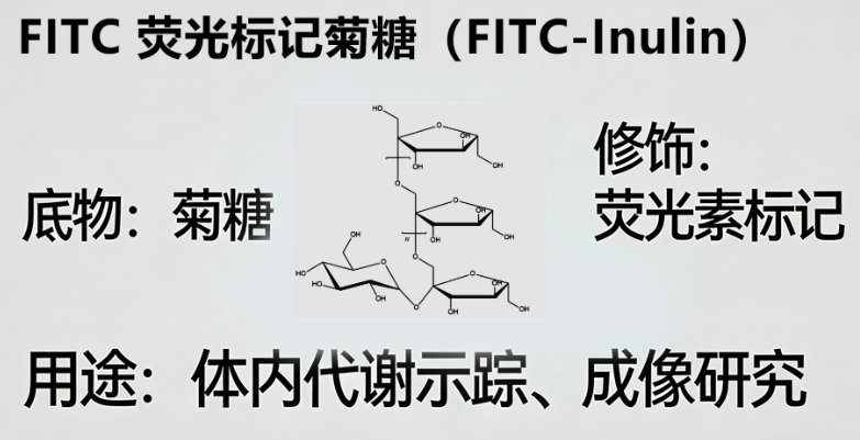 几十种多糖改性定制服务（修饰・偶联・功能化）