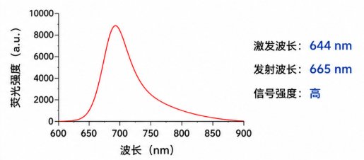 荧光染料标记脂质纳米粒（LNP）定制，支持Cy5、Cy7、DiD、BODIPY、FITC等