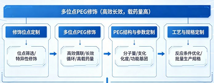 蛋白PEG化修饰方案开发与定制服务｜定点·多位点·多臂修饰