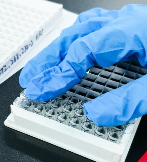水凝胶载微球定制技术(Custom Hydrogel-Encapsulated Microspheres)