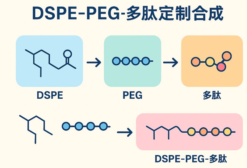 DSPE-PEG-多肽定制合成-Sur-Release公司