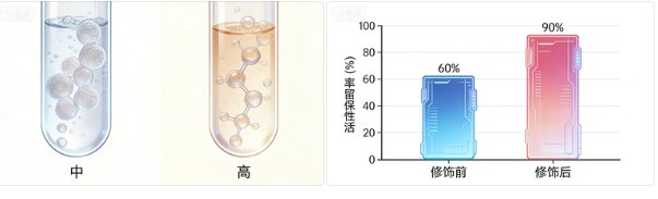 专业 PEG 修饰蛋白定制 | Sur-Release公司(上海)技术方案及应用案例