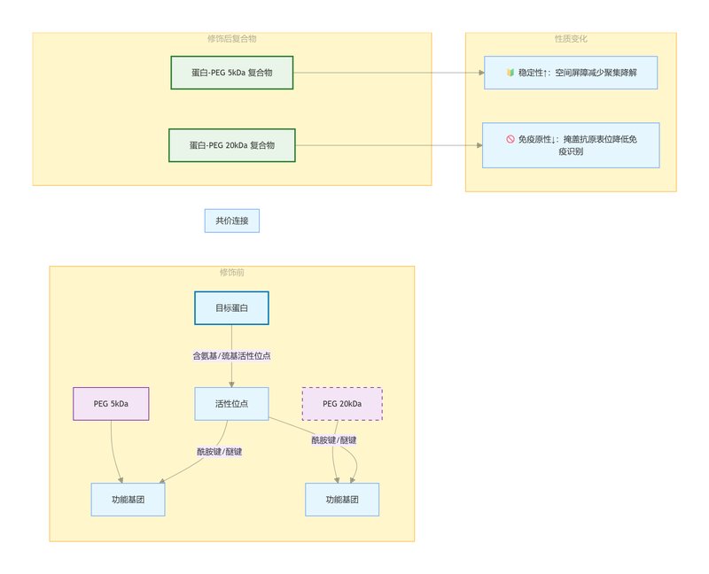 专业 PEG 修饰蛋白定制 | Sur-Release公司(上海)技术方案及应用案例