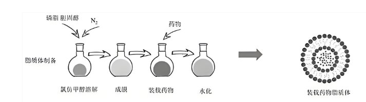 脂质体包药定制服务——服务内容介绍