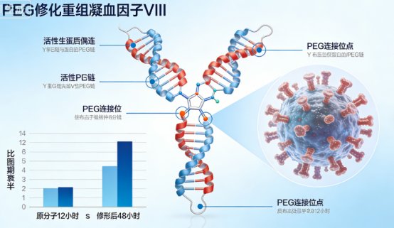 基于PEG修饰药物的定制合成服务方案与应用案例深度剖析-Sur-Release公司