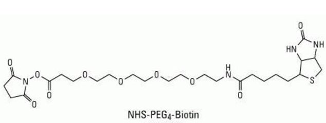 生物素标记小分子活性化合物定制合成服务手册-Sur-Release公司