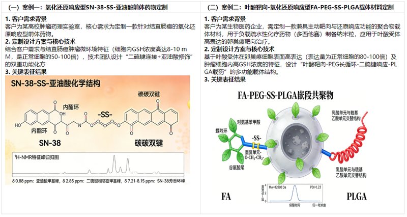 靶向性前体药物定制服务(pH敏感型,氧化还原敏感型,酶响应型,载体包覆型前体药物等)