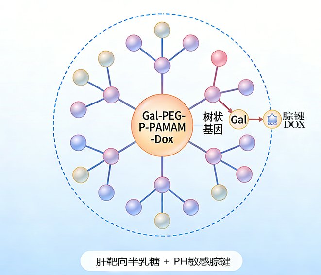 靶向性前体药物定制服务(pH敏感型,氧化还原敏感型,酶响应型,载体包覆型前体药物等)