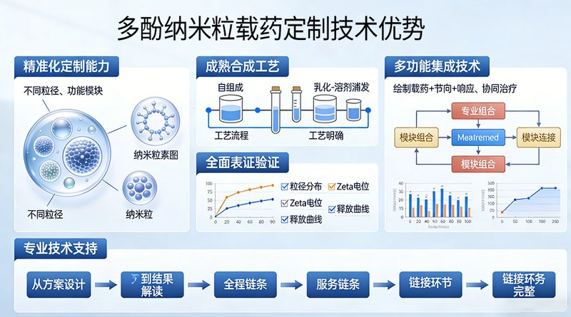 基于多酚纳米粒载药的定制合成技术服务