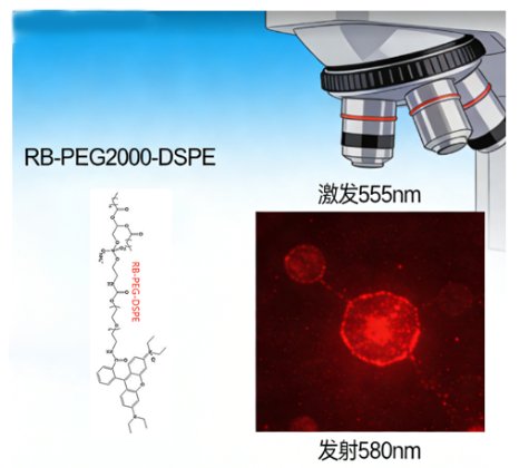 荧光标记磷脂定制：FITC/CY3/CY5/CY7/ICG多种荧光标记多种磷脂