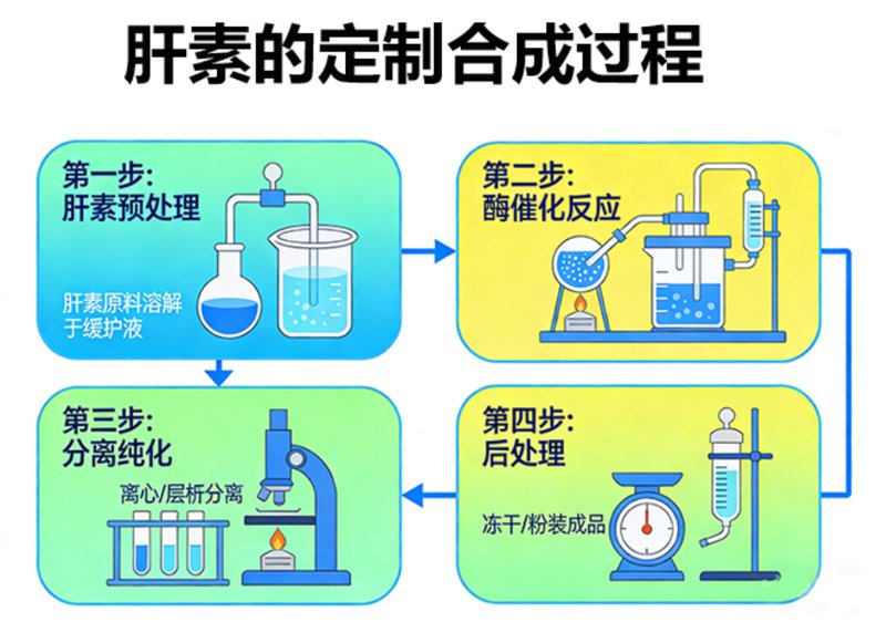 肝素(Heparin)的修饰与改性技术-Sur-Release公司