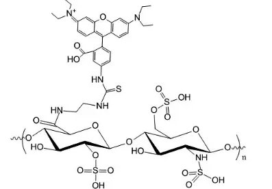 肝素(Heparin)的修饰与改性技术-Sur-Release公司