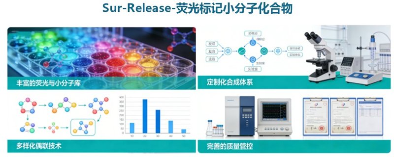 荧光标记小分子化合物定制合成-Sur-Release公司