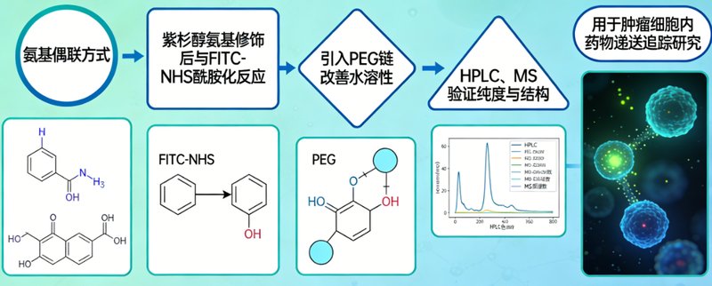 荧光标记小分子化合物定制合成-Sur-Release公司