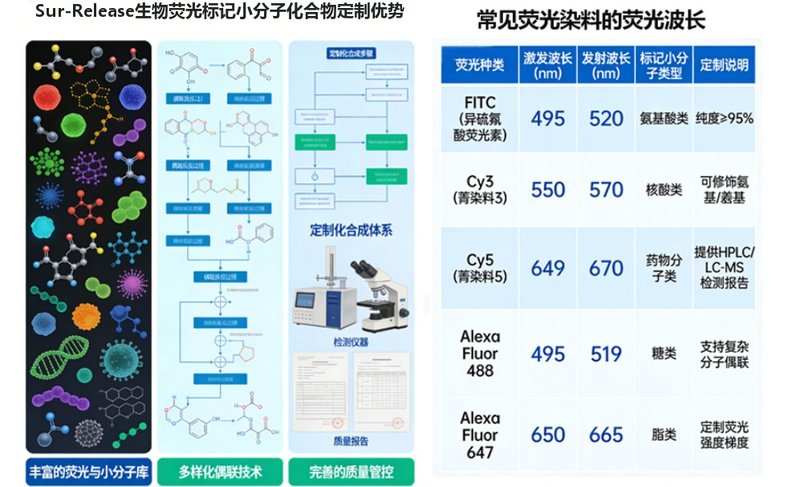 荧光标记小分子化合物定制合成-Sur-Release公司
