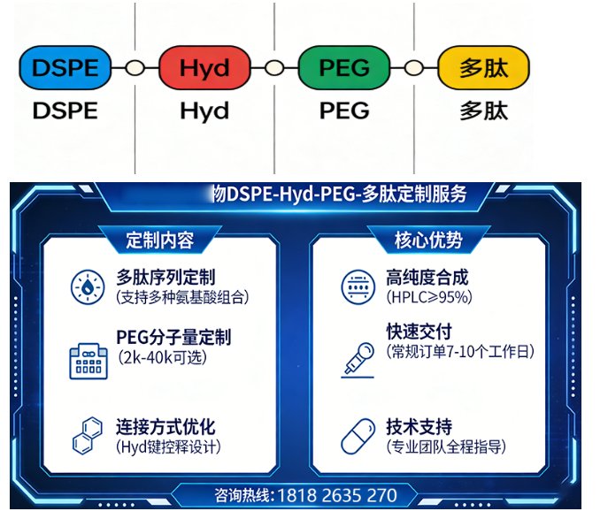 DSPE-Hyd-PEG-多肽定制合成技术服务(Sur-Release公司