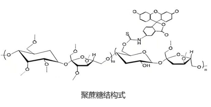 Ficoll/Polysucrose聚蔗糖的荧光标记服务 —— Sur-Release公司