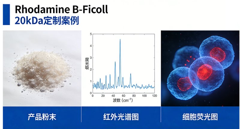 Ficoll/Polysucrose聚蔗糖的荧光标记服务 —— Sur-Release公司