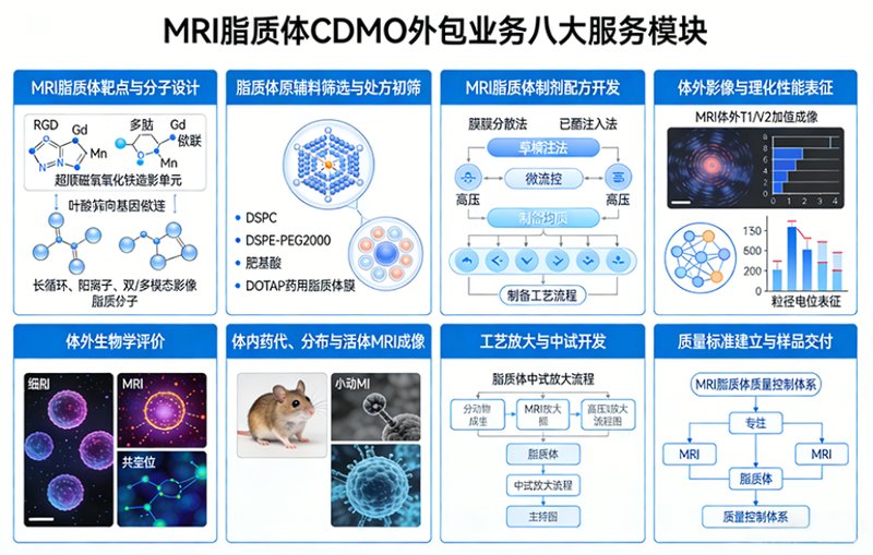 MRI脂质体CDMO研发外包全流程服务-Sur-Release公司