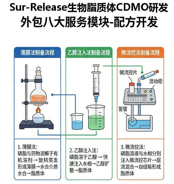 MRI脂质体CDMO研发外包全流程服务-Sur-Release公司