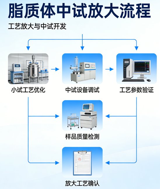 MRI脂质体CDMO研发外包全流程服务-Sur-Release公司