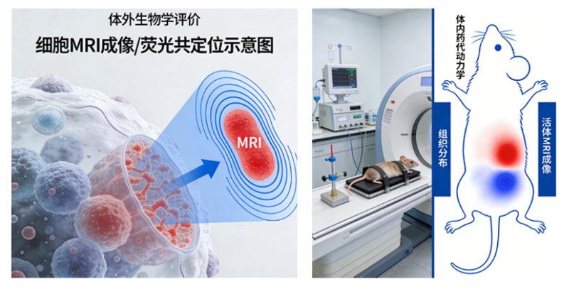 MRI脂质体CDMO研发外包全流程服务-Sur-Release公司