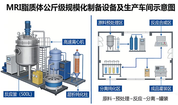 MRI脂质体CDMO研发外包全流程服务-Sur-Release公司