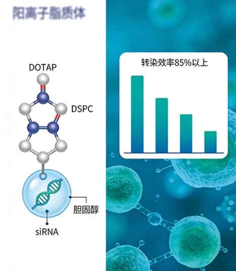 MRI脂质体CDMO研发外包全流程服务-Sur-Release公司