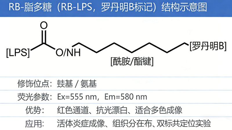 脂多糖（LPS）的修饰与改性---Sur-Release公司