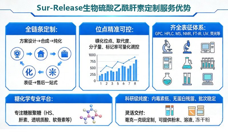 硫酸乙酰肝素（Heparan Sulfate, HS）的功能化定制改性