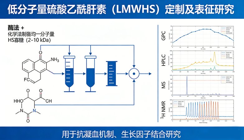硫酸乙酰肝素（Heparan Sulfate, HS）的功能化定制改性