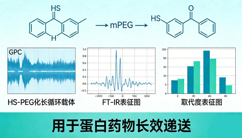 硫酸乙酰肝素（Heparan Sulfate, HS）的功能化定制改性