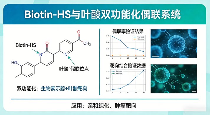 硫酸乙酰肝素（Heparan Sulfate, HS）的功能化定制改性