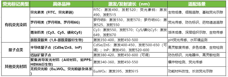 荧光标记静电纺丝纳米纤维膜定制合成-Sur-Release公司