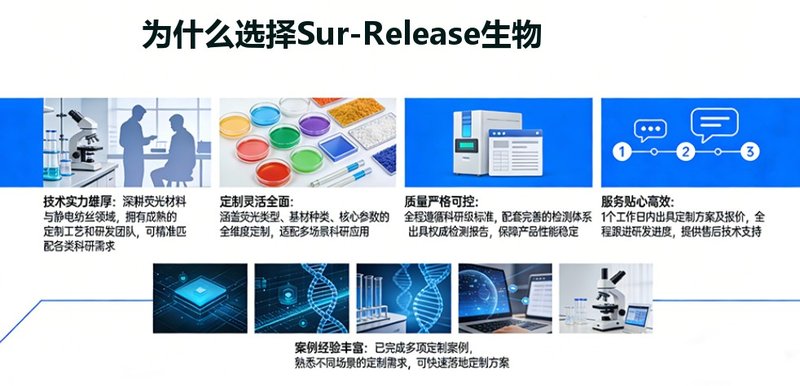 荧光标记静电纺丝纳米纤维膜定制合成-Sur-Release公司