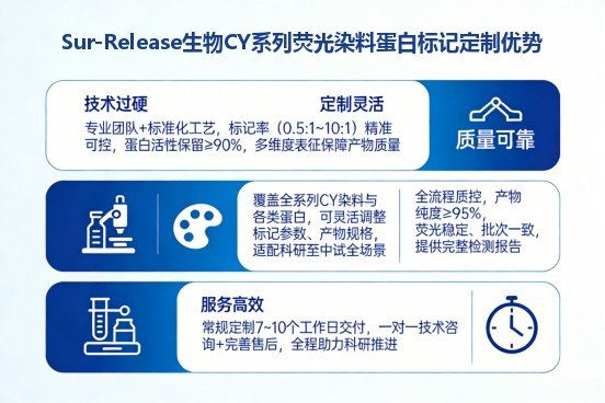 CY 系列荧光染料蛋白标记定制服务｜Sur-Release公司