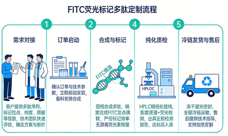 FITC荧光标记多肽定制核心服务——Sur-Release公司