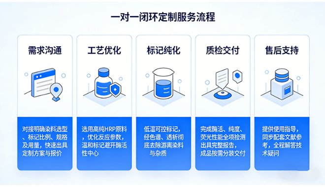 荧光标记辣根过氧化物酶（HRP-Fluorescent）定制服务丨Sur-Release公司