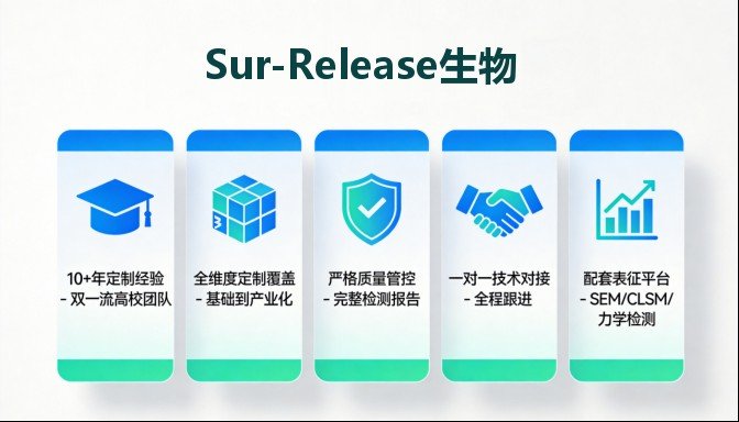 水凝胶-纳米粒复合材料定制服务——Sur-Release公司