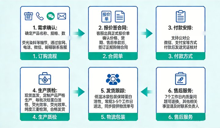 荧光标记蛋白指南：细胞研究中的“发光工具”