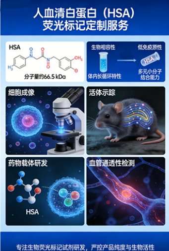 荧光素标记人血清白蛋白（HSA）的定制服务丨Sur-Release公司