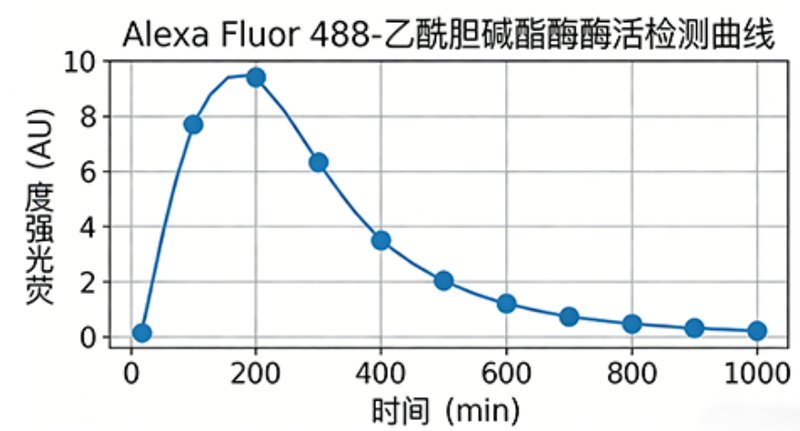 荧光标记酶定制服务｜多种荧光探针可选