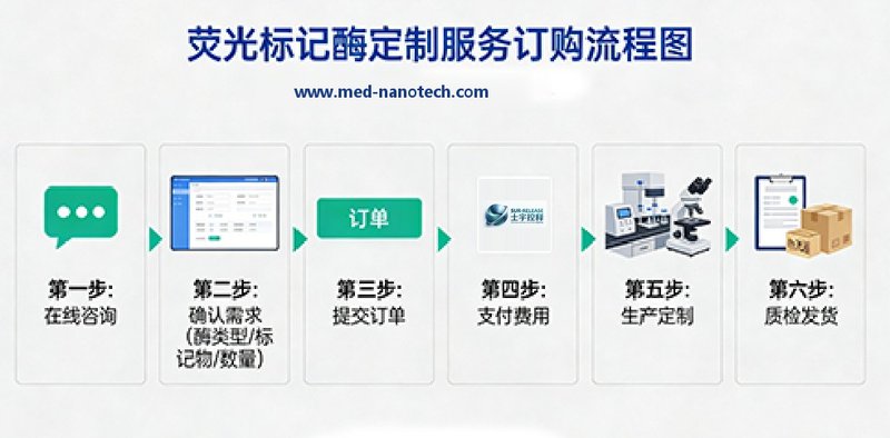 荧光标记酶定制服务｜多种荧光探针可选