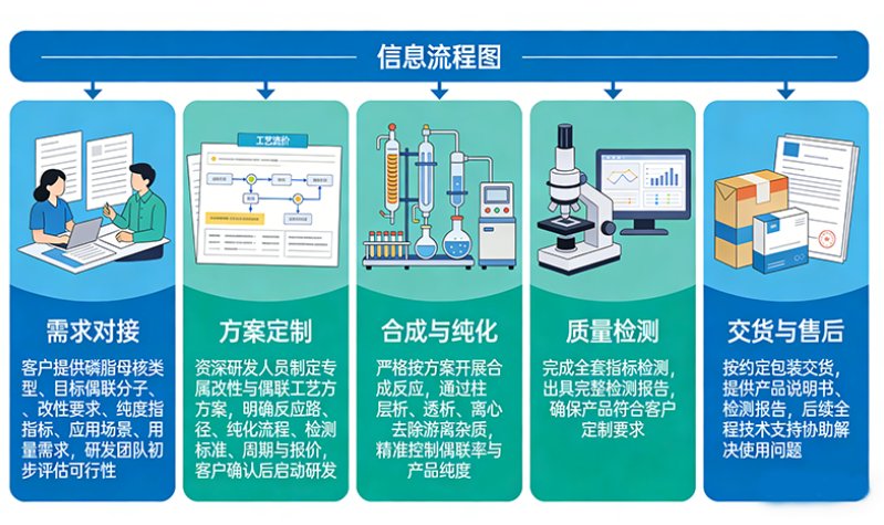 磷脂改性&偶联定制——Sur-Release公司