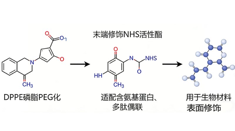 磷脂改性&偶联定制——Sur-Release公司