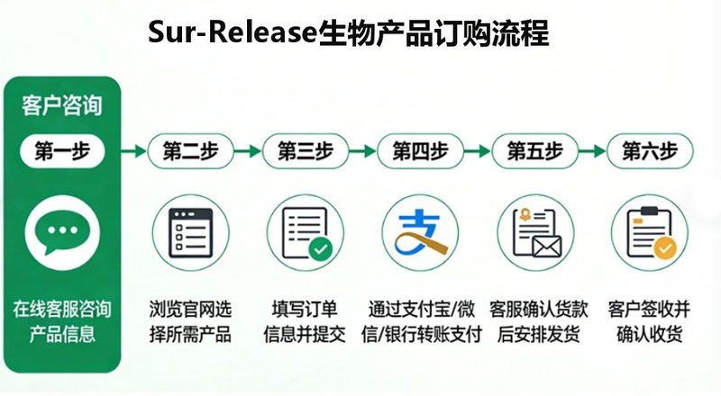 胶束表面改性定制:从设计到应用一站式解析