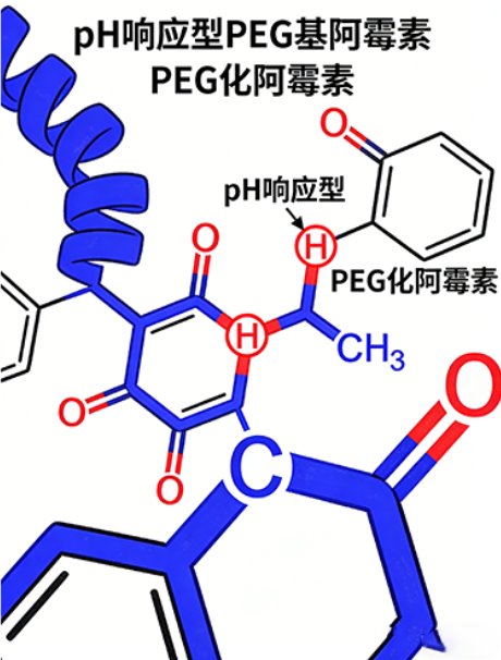 PEG修饰药物&amp;中间体定制流程是怎样的？要点解析